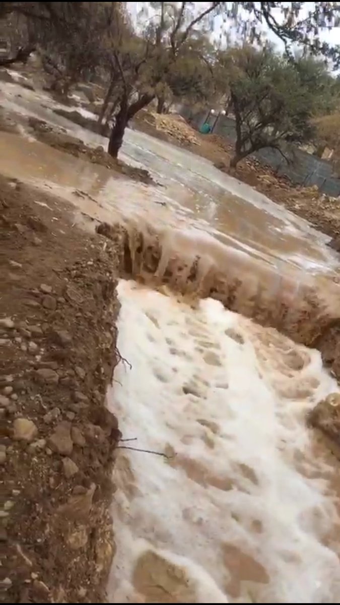 #حياتك22

ابغى اشربك بإحساسي و تمتليني
الين احس إني بوصلك تماديت ..