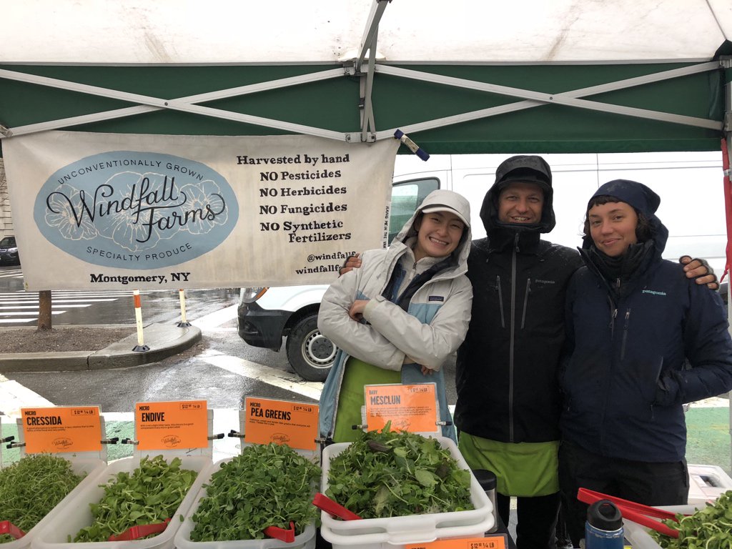 windfallfarms's tweet image. Laurel and kevin are back from holiday wish they brought the sunny Baja weather back to #79thSTGreenmarket today. At least we’ve got #unconventionallygrown salad greens for you!