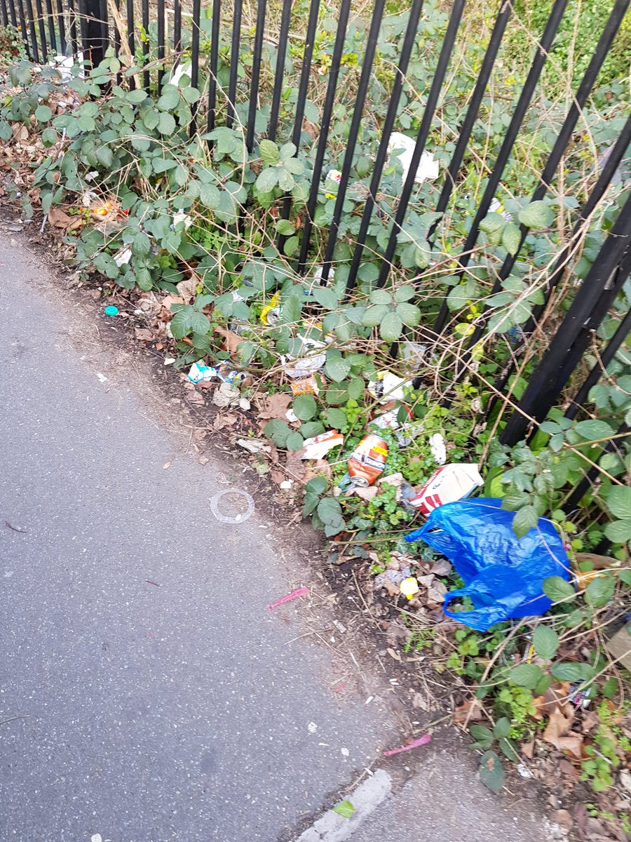 @Merton_Council As usual, Mitcham tram area is filthy. It's been like this all week. #muckymerton