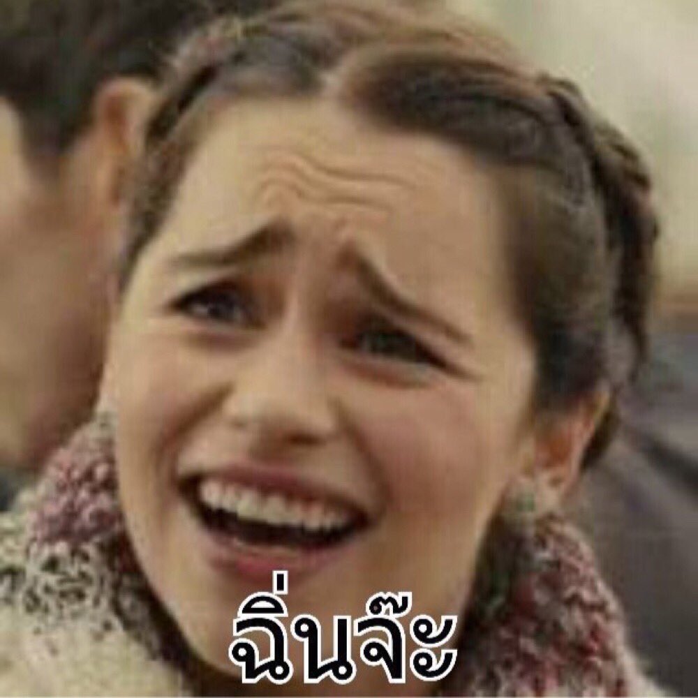 punpueng tweet media