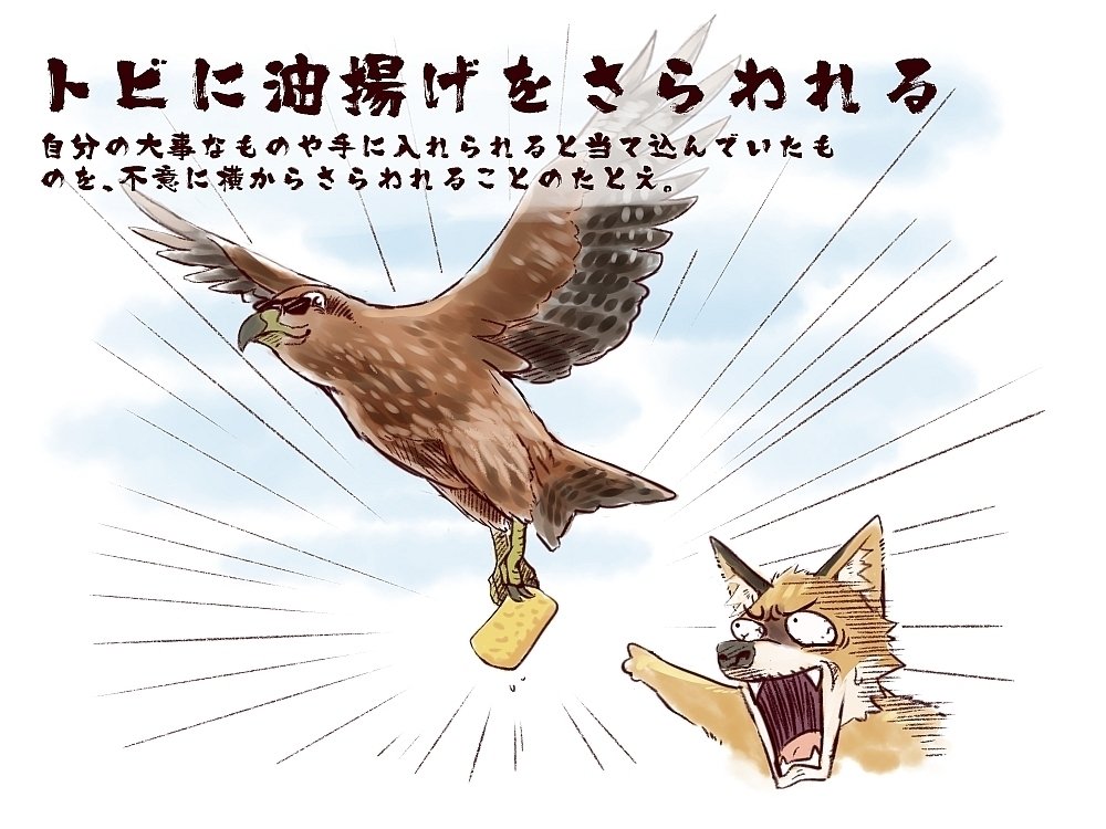 一日一種 Ar Twitter 鳥の慣用句その１３ 鳶に油揚げをさらわれる 鳥 動物 T Co Krevmfpzrv T Co Pvzxrilnoh Twitter