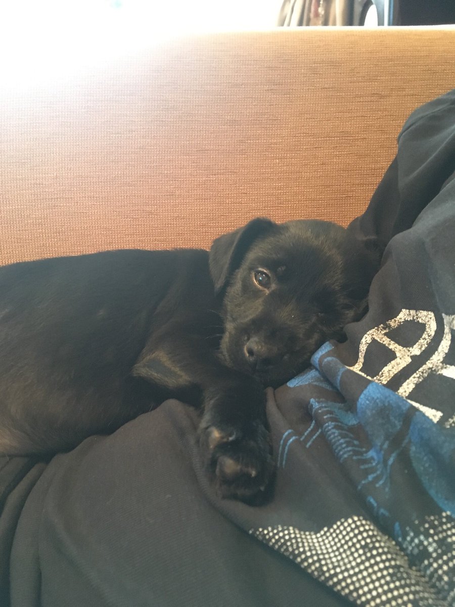 eIIis98's tweet photo. Twitter meet my new baby, Isla x https://t.co/W6hUNrSP2k