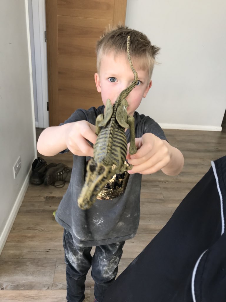 MinorMorgan's tweet photo. Finished my dinosaur! https://t.co/NWXcNIZzNZ