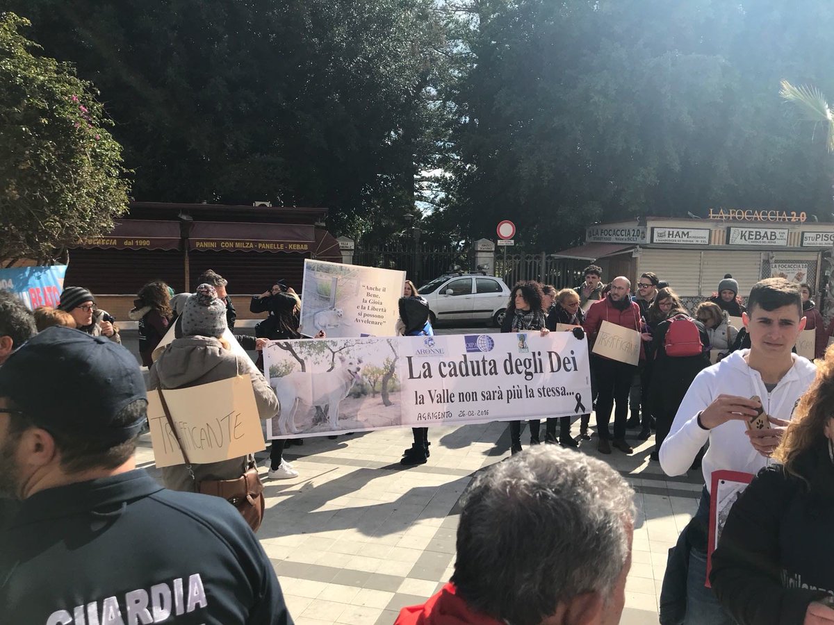 Dopo la strage di cani randagi della scorsa settimana, animalisti da tutta la #Sicilia si sono riuniti a #Sciacca per manifestare e chiedere alle amministrazioni di fare di più ⬇️