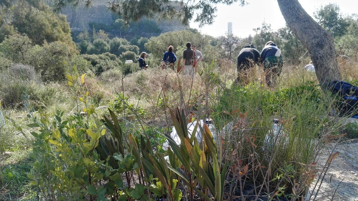 TresTossals's tweet photo. Algunas fotos más de la jornada https://t.co/pNIJ1FkZea