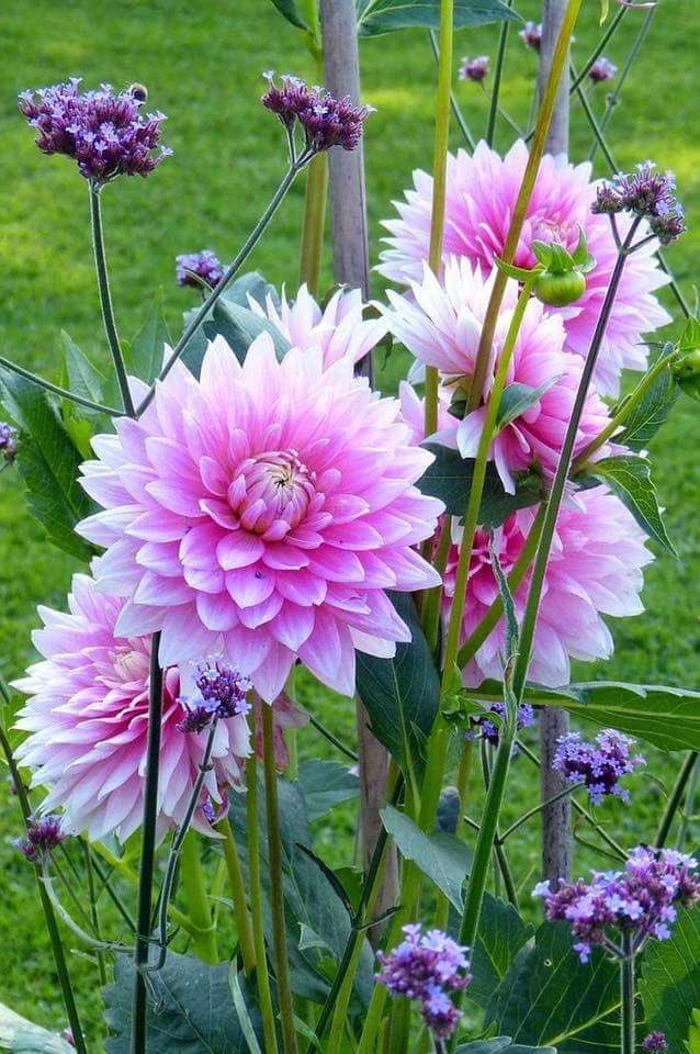 <a href="/IsmailShihan/">Ismail Shihan</a> @LnVdOBLlgCoKvn9 <a href="/PolakPotrafi333/">Polak Potrafi</a> <a href="/SimplesmenteSyl/">💄💋🍓SYL🍒👠🍷</a> <a href="/mainzina/">Elizabeth</a> <a href="/LO2BSH/">LO2BSH</a> <a href="/MartaAvendao/">Marta Avendaño 🍃🌸</a> <a href="/CanoEscalo/">CONSUELO</a> <a href="/LOYALFAN1/">DONNA CARRIERE</a> <a href="/castelobrw/">Ing. Cesar I Castelo</a> <a href="/TuTulsa/">tulsa</a> <a href="/IzabelleCova/">🌺 Iza 💦</a> <a href="/DebbieZimmer54/">Debbie</a> <a href="/nabilhasan48/">حسن العراقي</a> <a href="/Lee888123/">Lee</a> <a href="/LatofaOb/">👑❤Latifa❤👑</a> <a href="/Carestina1/">Carestina</a> <a href="/purpuracocaes/">#Colombia</a> @VeaMiAlma <a href="/monicasloves/">Monica Cates</a> <a href="/angelicagallegs/">🇧🇷 ♫J.Angelica G. Gallegos♫🇧🇷</a> @avlis46 <a href="/LupitaCampos13/">Lupita Campos</a> <a href="/carvalheucilene/">eucilenecarvalho</a> <a href="/aldry1061/">Adriana</a> <a href="/atatenea/">Maria G.</a> <a href="/elbiba_5/">elbiba ali𓂃♡</a> <a href="/WalterHomeroPe4/">Walter Homero Perez</a> @Natali122550 <a href="/lilitaprofesion/">liliana garcia</a> <a href="/Jmadden98John/">john madden</a> <a href="/11Esperena/">Esperanza Jimenez gonzalez</a> <a href="/MARIALUISAMAR5/">MARIA LUISA</a> <a href="/IsabelPerez1232/">💦Isabel Perez 💦</a> <a href="/elsufuen/">Susana Fuentes</a> <a href="/SteliosDnUnder/">stelios</a> <a href="/adjack3467/">Andrea D Jackson</a> <a href="/GreyAki/">Lettycia</a> <a href="/amro_mohamed197/">Amr_mohamed1973@yah</a> @VillaCelestine <a href="/SuzanneLepage1/">Suzanne Lepage</a> <a href="/peac4love/">Ceni</a> <a href="/huskorkut/">huskorkut</a>