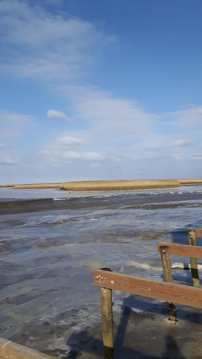 Een frisse wandeling vandaag bij Nieuw Statenzijl ❄