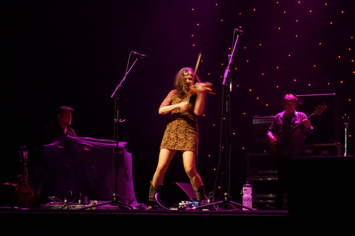 Kim Shaw tweet media