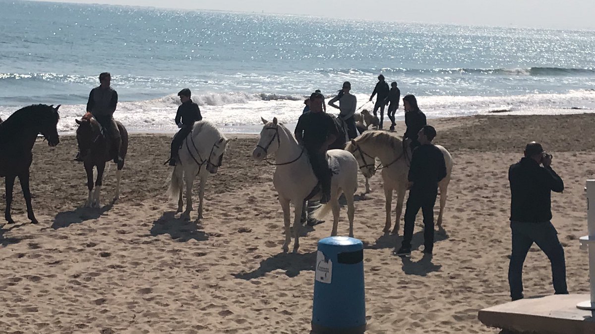 JaimeAmoros's tweet photo. ¿Legal o ilegal? Galopar por zona de playa, a las 12:00 horas de un Domingo, con la playa llena de Viandantes y niños? @MireiaMolla @esther_dival Turismo si, pero controlado. ESTO ES UN PELIGRO. Pero bonito. https://t.co/Cb0owsjzWh