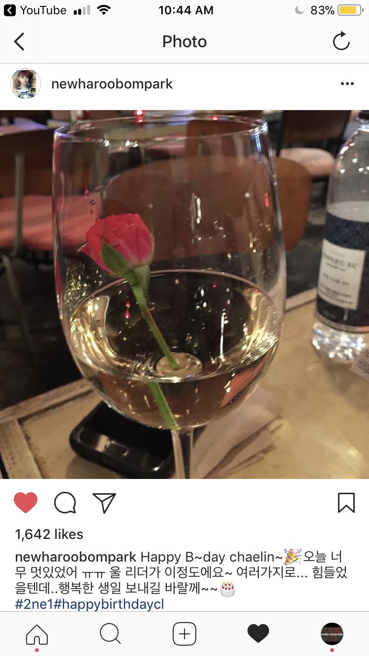 Park Bom Wished CL Happy Birthday Too    