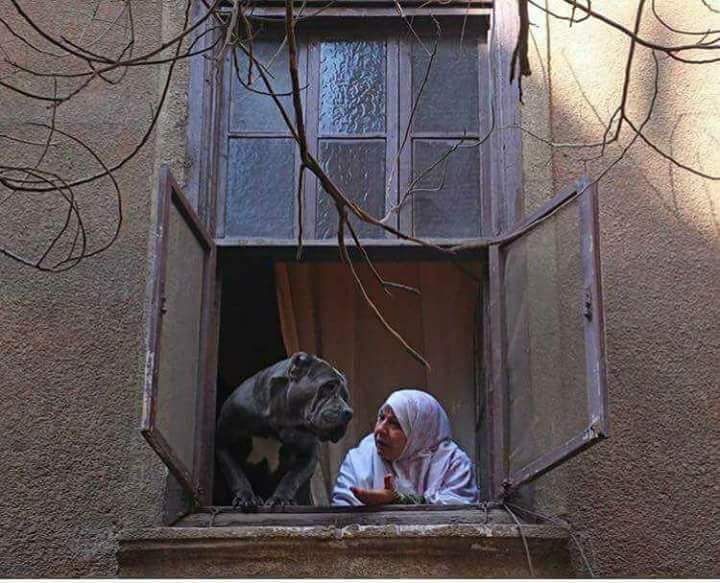 Maireda23's tweet photo. أجمل حاجة شوفتها النهاردة 😍 https://t.co/1gLdz42yoJ