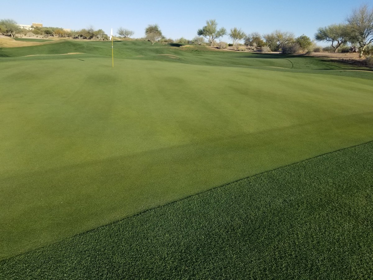 db_bezz's tweet image. 89 of the top F1000 and Gov CIOs are here with @SamsungMobileUS and @TMobile @TMobileBusiness for some sunshine, golf, blue skies and green.  Scottsdale AZ.  @KatzMike @kirby3james @Tam2cham @ARAINONE75 @SievertMike #S9 #1Network