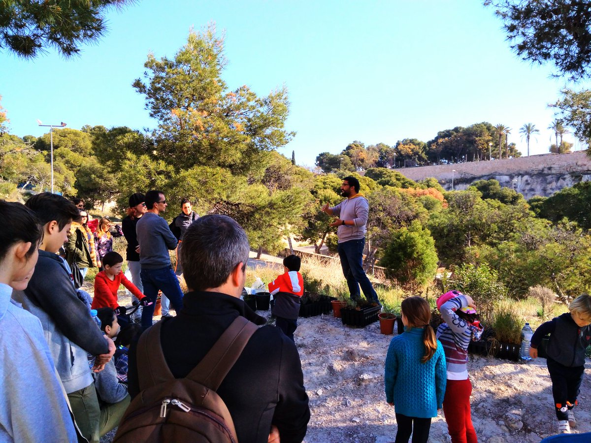 TresTossals's tweet photo. Éxito de participación hoy en la reforestación del #Tossal. Gracias a todas y todos!!! El monte es nuestro https://t.co/boR61hgRW7