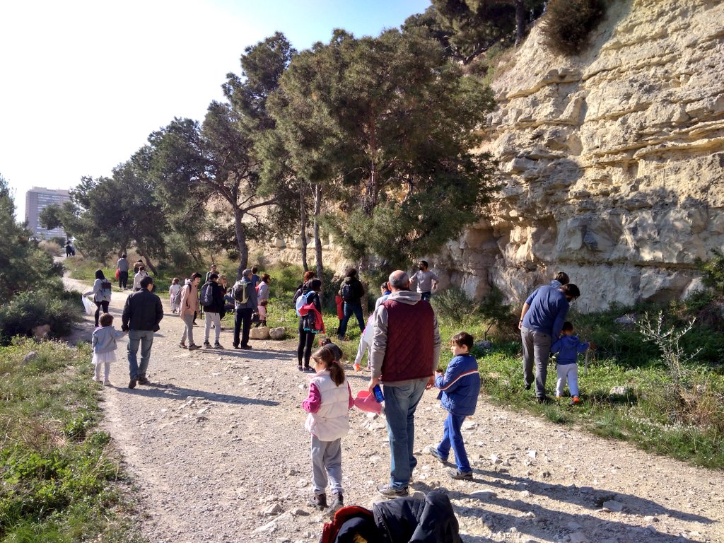 TresTossals's tweet photo. Éxito de participación hoy en la reforestación del #Tossal. Gracias a todas y todos!!! El monte es nuestro https://t.co/boR61hgRW7