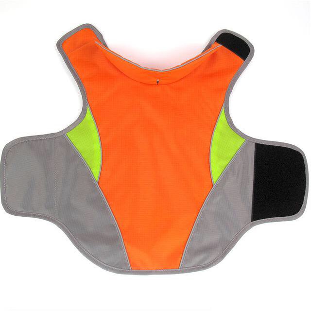 💧Keep your Doxie warm with our new waterproof jackets. Comes in three colors. Available now with free Shipping! Link in bio. #dachshund #pets