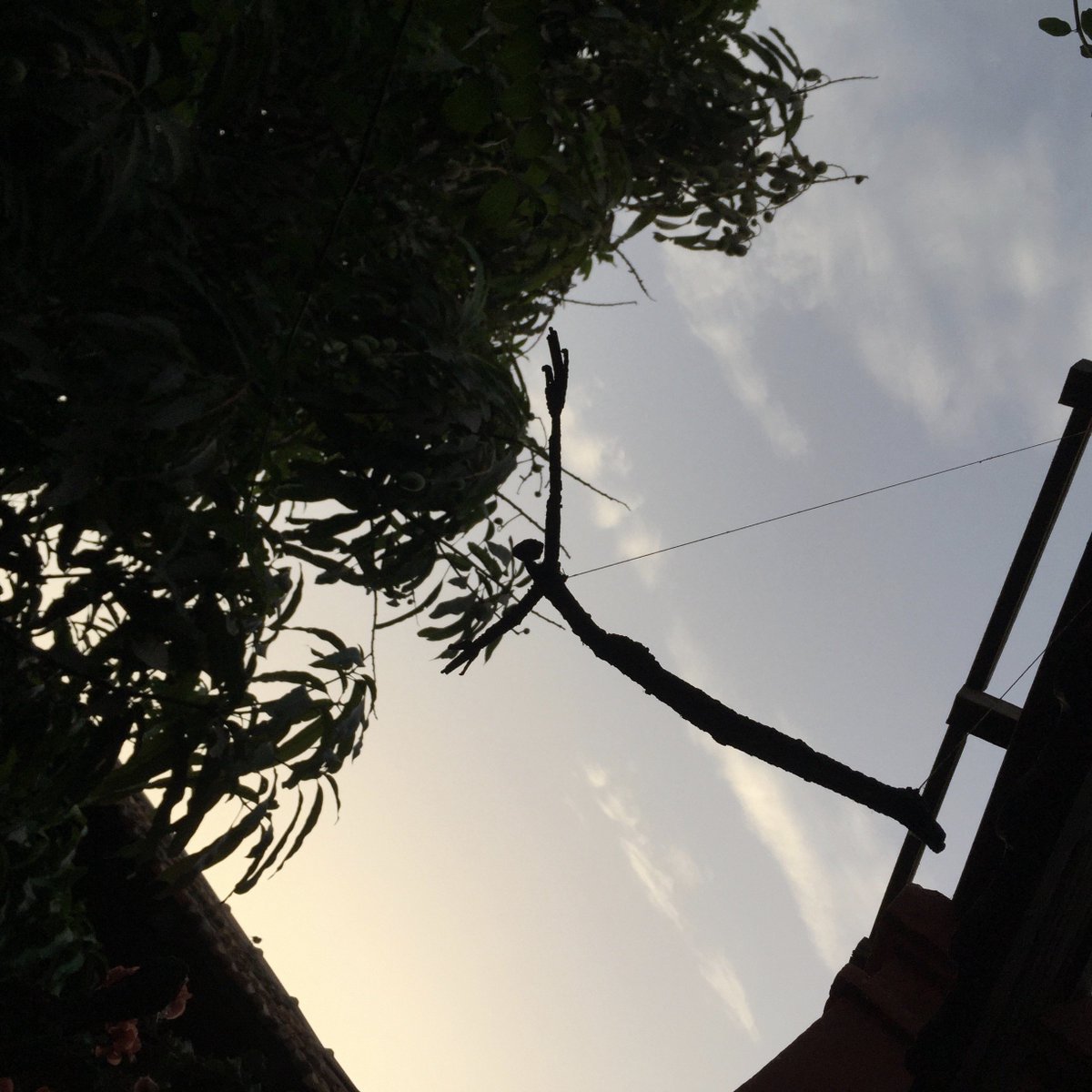 GRegardsurcours's tweet photo. Gorée Regards sur cours dans le OFF de la Biennale de Dakar https://t.co/aFi8h7dKpq