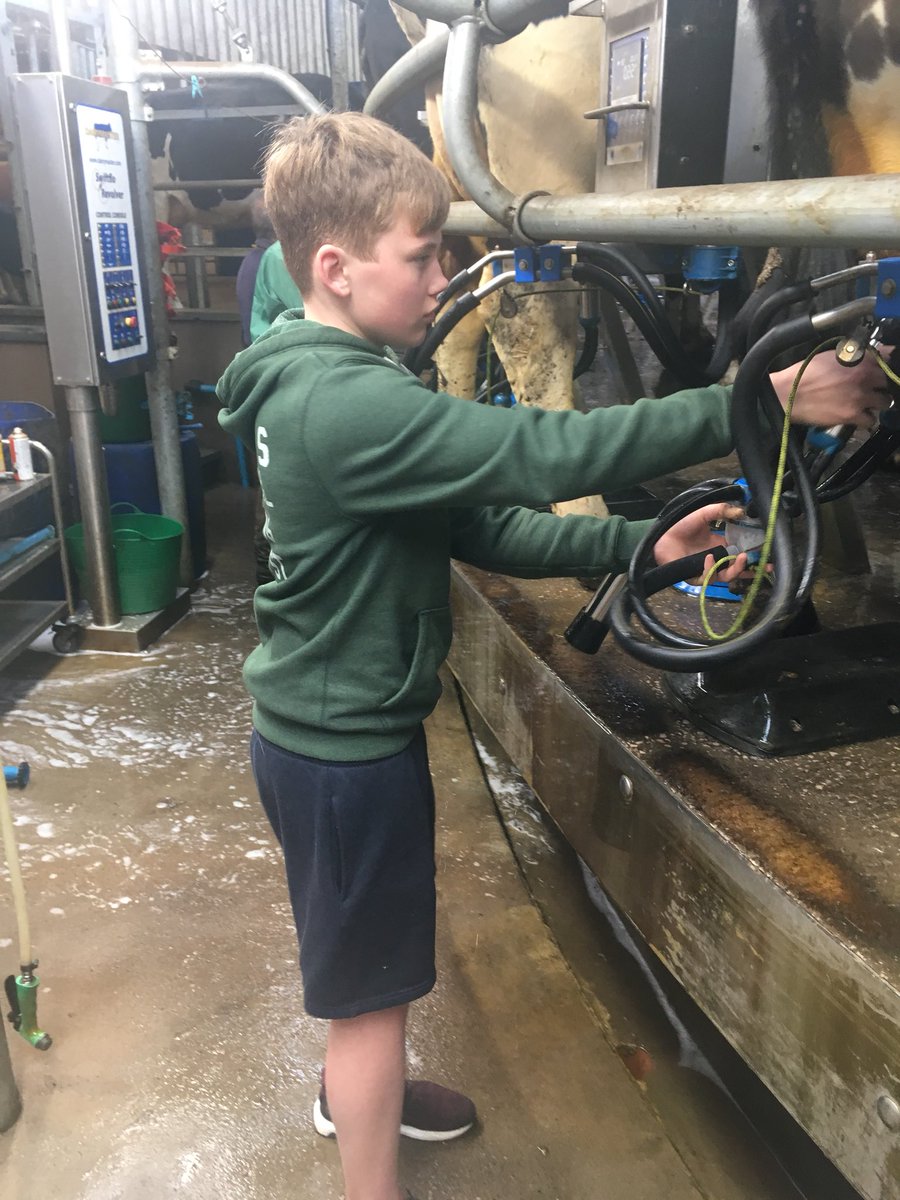 #harveywallbanger being inspected by the rugby team. Johnny Hanson is having a busman’s holiday. He’ll have the hang of it soon.🐄 <a href="/Cressbrook_Sed/">Boarding</a> <a href="/Sed_Sedgwick/">Sedgwick House</a> <a href="/SedPrepSport/">SedberghPrepSport</a>