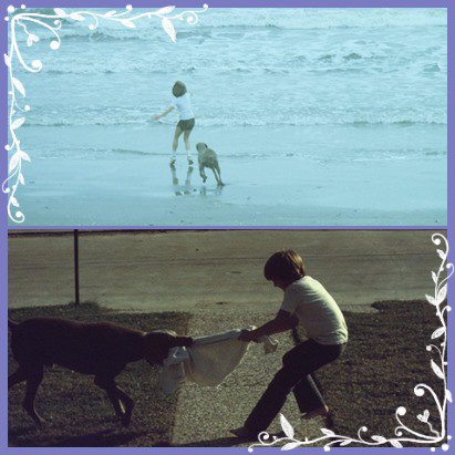 __carla___'s tweet photo. I believe that children and dogs are a perfect combination ... @seanflanery do not you think so?... 💙
#KidFlanery #Dog #SteveMcQueen #Innocence #Loyalty #BestFriends #PureTenderness #HappySunday https://t.co/5v68kCNQQW