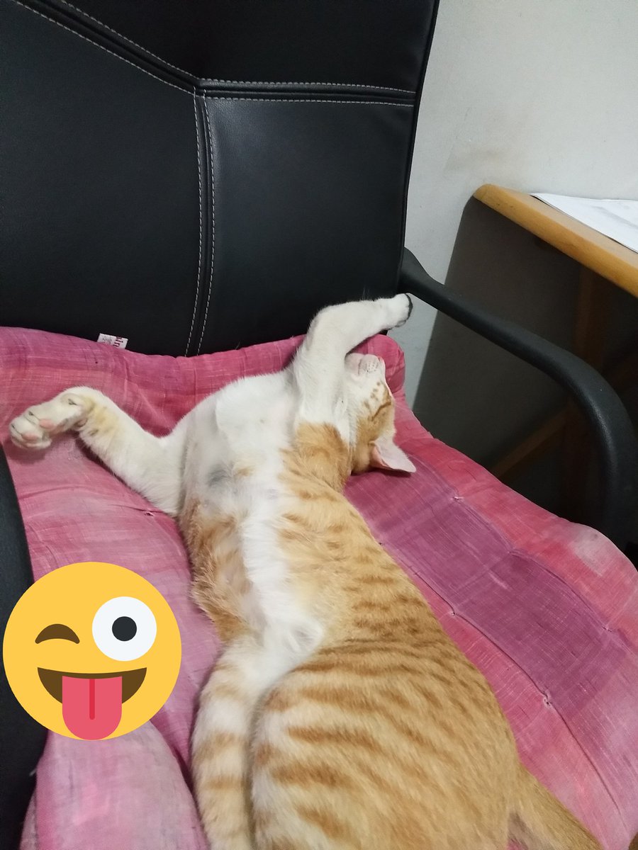 MoonoyMoonui's tweet image. นอนแค่นี้ ยังต้องโพสท่า. ด้วยนะ ทาโร