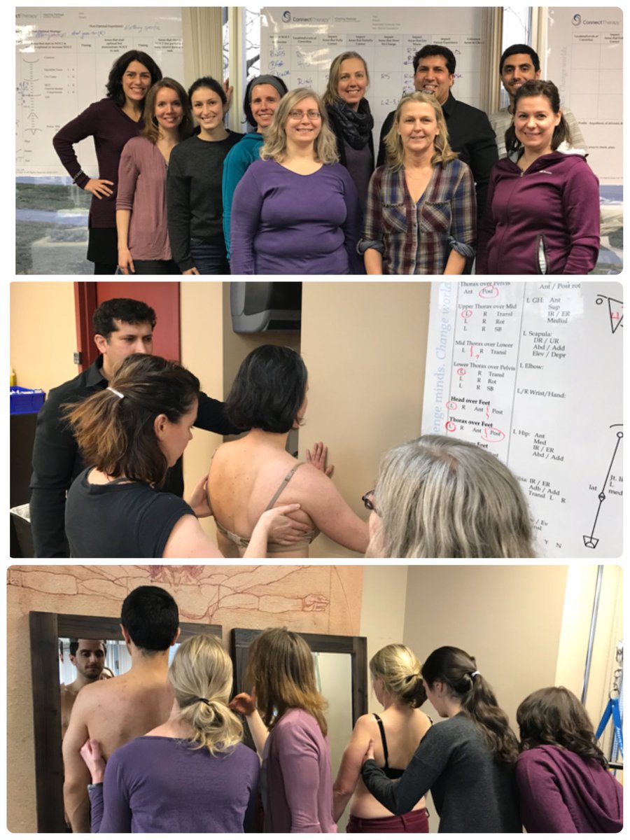 DrLJLee's tweet photo. Congrats to Rabi Guha for leading a well received Thoracic Ring Drivers Skills Workshop in Waterloo yesterday! Lots of deliberate practice &amp; many “aha” moments for Ax &amp; Rx Thoracic Ring Drivers. Next LJLI workshops in #Vancouver https://t.co/kwvf4nuMQy Join us! #ConnectTherapy https://t.co/sxPxbx6sxU