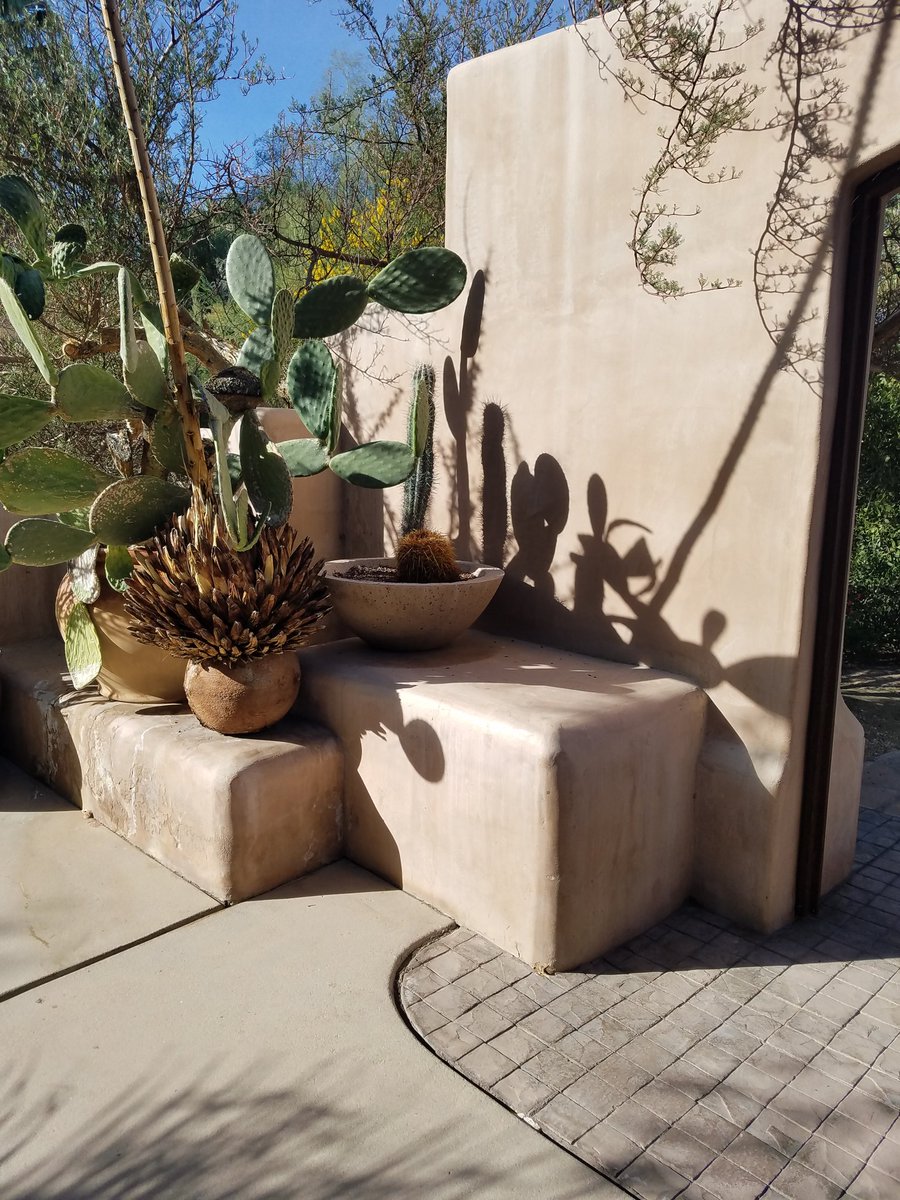 Nicolette Glazer tweet media