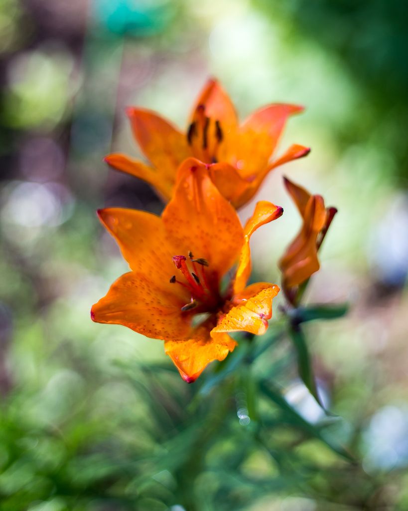 Uppdaterat hemsidan så den ser lite bättre ut.

Skaffa din egen poster på johnphoto.se

#johnphoto #fotograf #foto #photo #fotography #posters #print