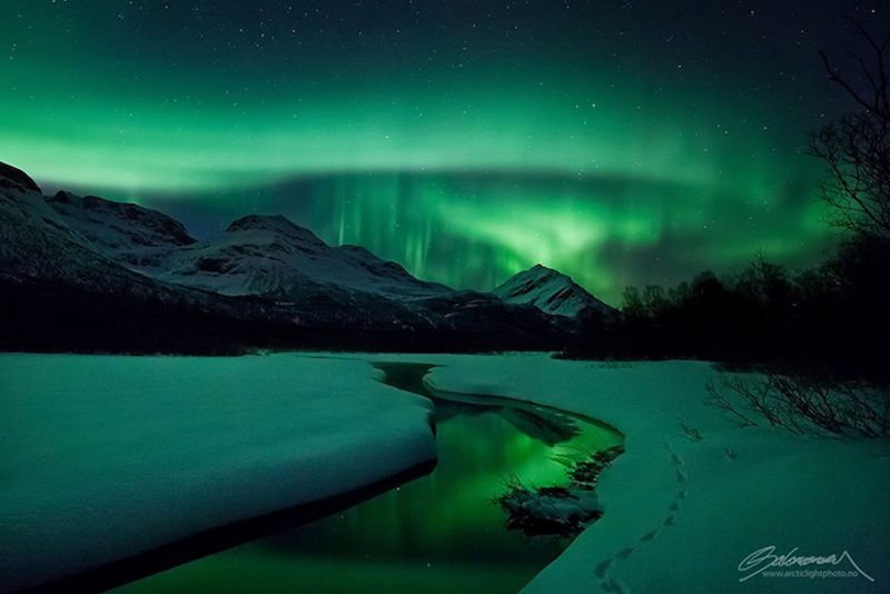 B_Ubiquitous's tweet photo. Majestic Elements
#photography by Ole Christian Salomonsen
#Norway #spaceweather #explore #nature #photo #amazing #aurora #adventure #auroraborealis #sky #earth #art #beautiful #northernlights #fotos #optoutside #skylovers #wanderlust #travel 🇳🇴
https://t.co/ARAuDuOEdq https://t.co/i0q4maOhFG