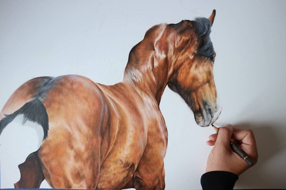 I cant wait to show you what I have been working on... but for now here is a throwback to when I was drawing 'Horse Power' :) #equineart #equestrian #horsehour