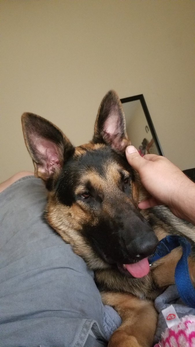 gmane22's tweet image. Im fuckin sad...