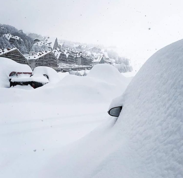 Viviana Leto (@letoviviana) on Twitter photo 