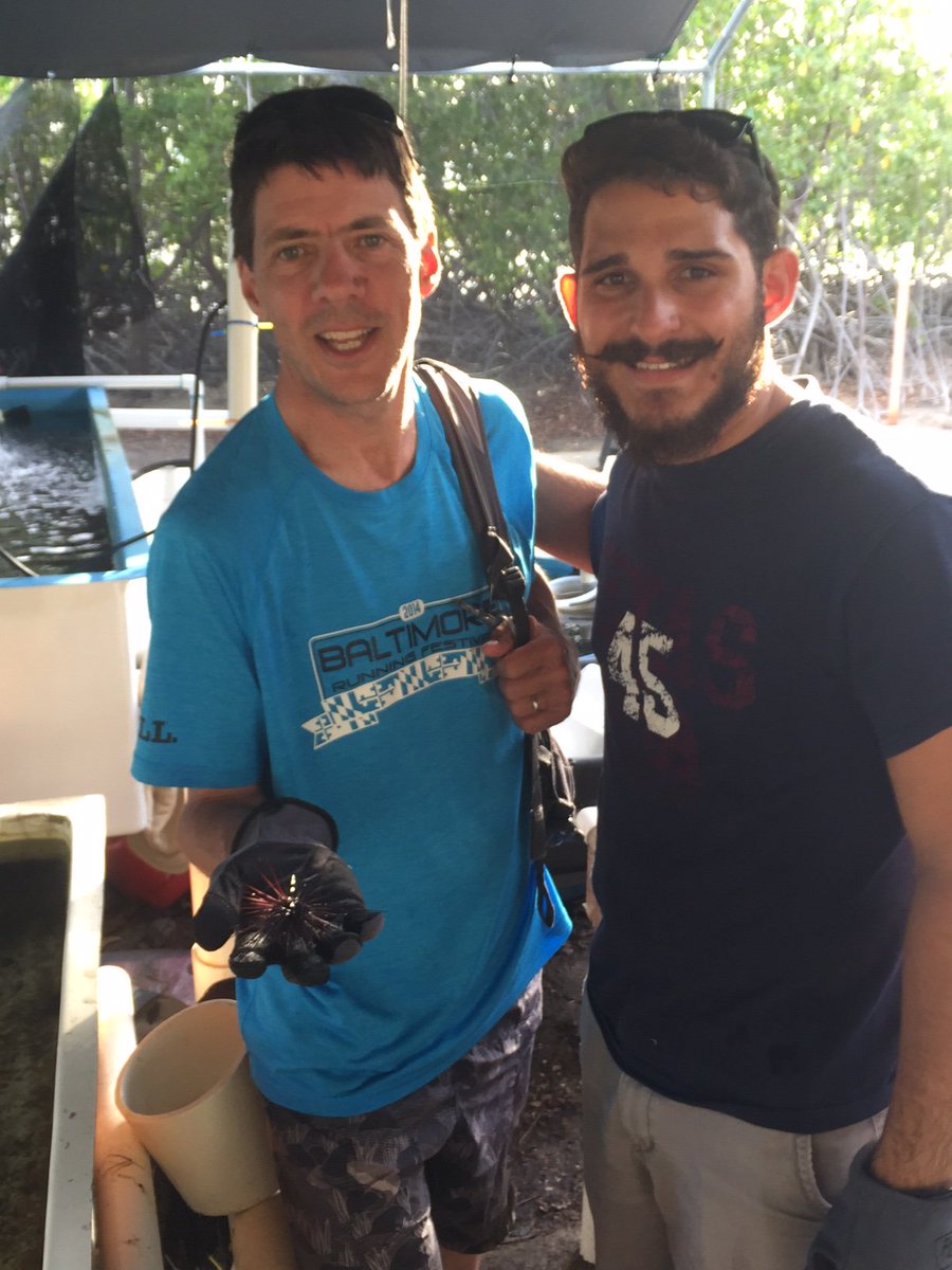 IMET_USMD's tweet image. We're looking for future scientists to join us in the lab this summer. Apply now for our internship program! ow.ly/X5Vo30irRKD #internship #job #summer #Maryland #research