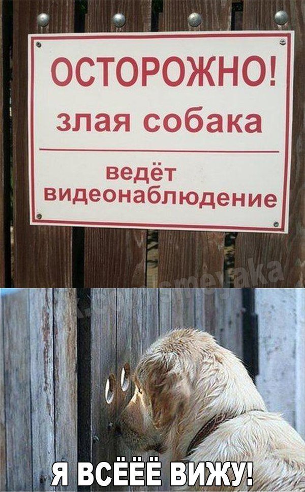 Подруге, картинка с приколом я все вижу