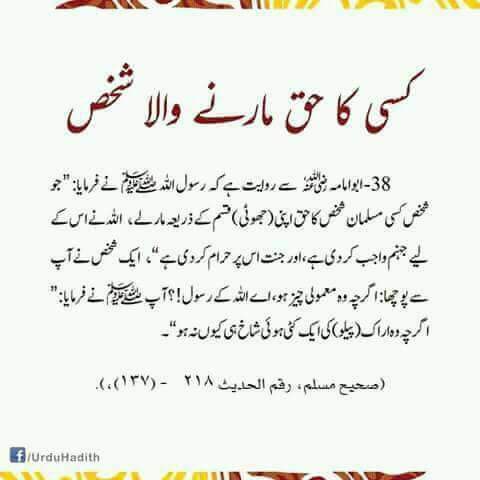 RAJA ZAFAR MEHMOOD (@rajazafarmehmo3) on Twitter photo 