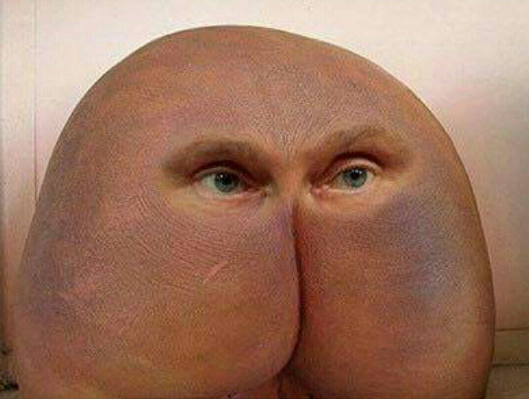 говорящая жопа