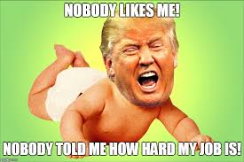SassyMsViolet's tweet photo. @RobynAngel @FranncescaRobi1 @SybilleAbed @ElectWomen2018 @coryaerobatics And much more fragile! #PoorLittleShithole https://t.co/0WOByw8Vpg