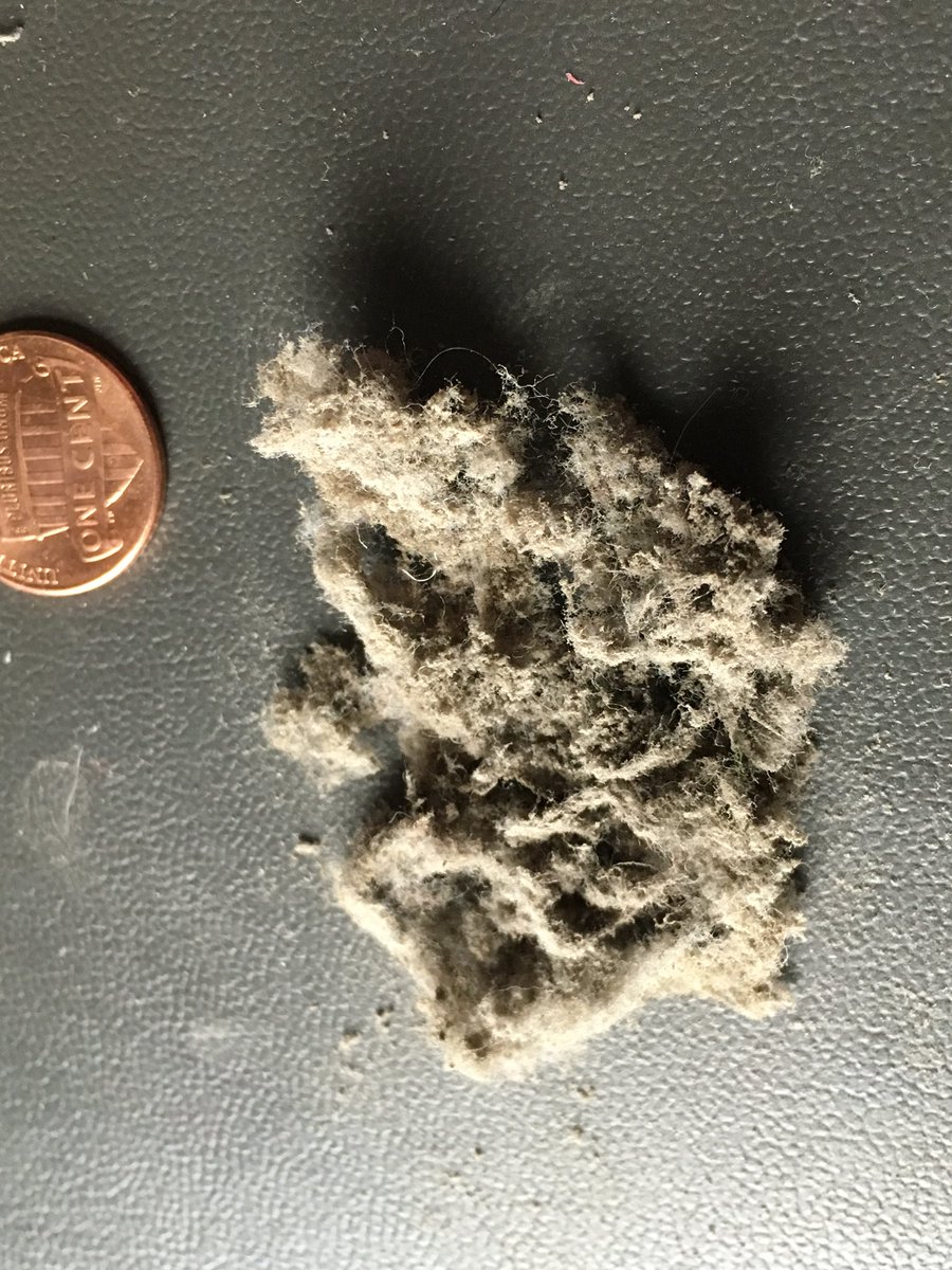 Hydro2113's tweet image. Takes playing clean to a whole new level. Girl at my work couldn’t figure the issue... 😑

#RestorationProject
#FirstLayer #DustKills
#StayCool
#WorstiEverSeen