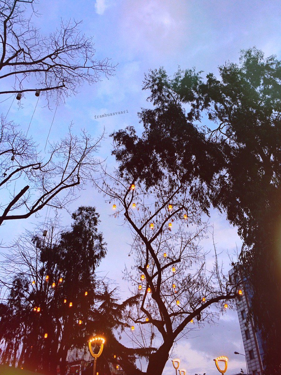 Umursamaz sandığım insanın başkasını nasıl önemsediğini gördüğümden beri hiçbir şey beni hayal kırıklığına uğratmıyor.