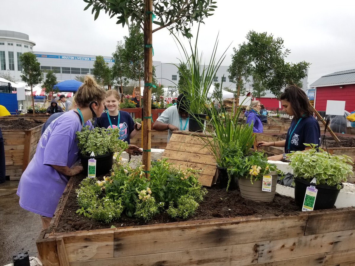 ClementsFFA's tweet image. Competing at the Miniscapes contest today at the Houston Livestock Show &amp;amp; Rodeo! @CHS_Rangers