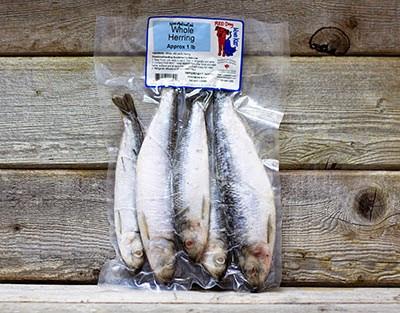 PetValuSimcoe's tweet photo. March is focus on Raw Month, so for our first tweet and product spotlight, meet @RedDogBlueKat from BC, Canada - a fully balanced #healthy #pet diet! To celebrate our new fridge, we're offering 10% off first purchase of raw all month @PetValuSimcoe! Follow for more info all month https://t.co/ipeHmiZDex