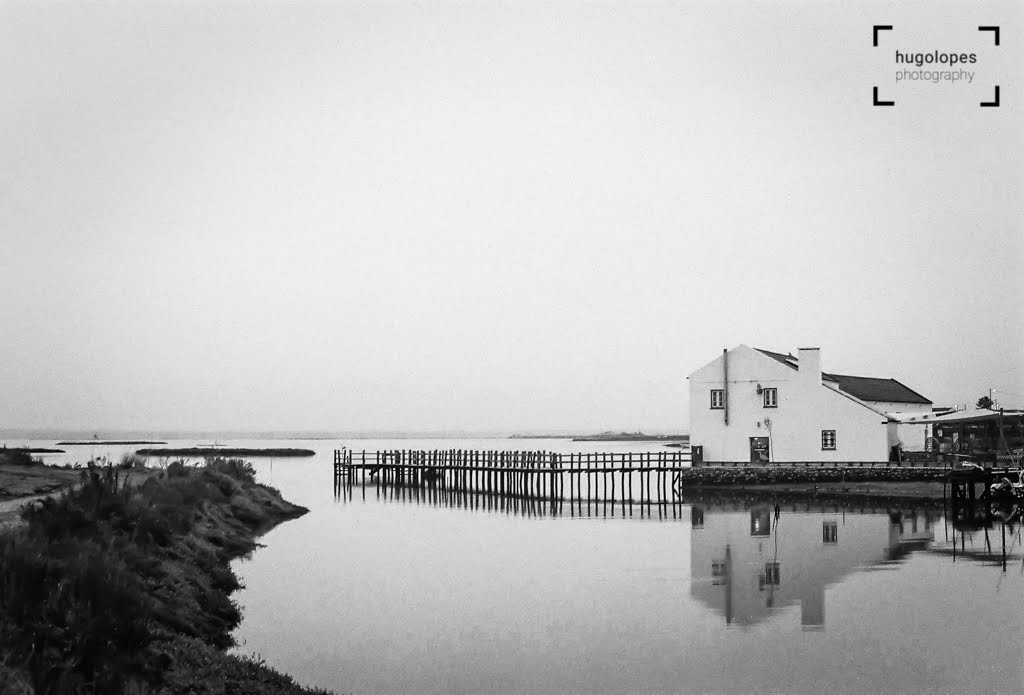 HugoLopesPhoto's tweet image. Now this is new. This photo was revealed today from my first ever analog roll. Room for improvement, but very happy with the results. #cameraroll #film #thosewherethedays #pumped #blackandwhite