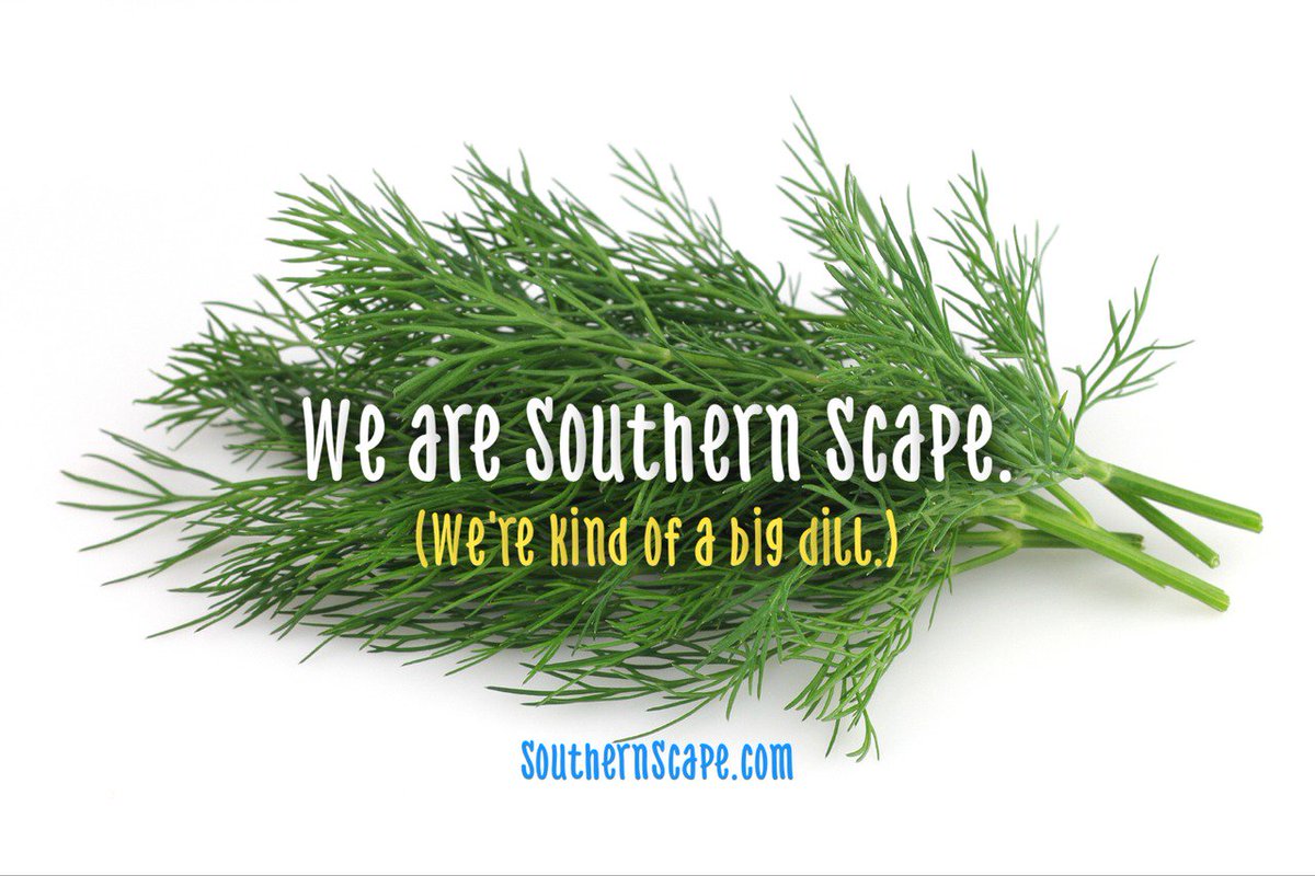Southern__Scape's tweet photo. #DillWithIt 
#HerbHumor https://t.co/ghvCVSkUqb