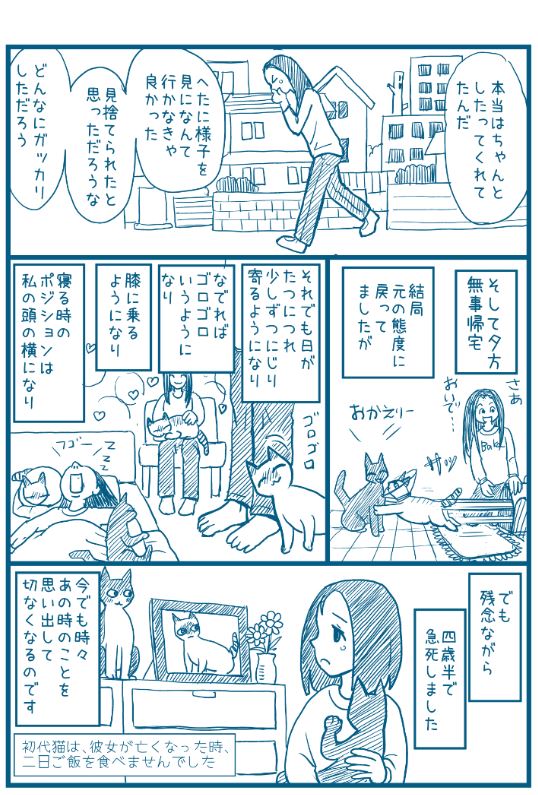 二匹目の猫は、空き地で捕獲されたばかりの
生後二か月半の野良の子♀でした。
先住猫とはすぐに仲良しになったのですが、
人間を警戒していてなかなか私には懐いてくれず、
抱けばカチコチに緊張して速攻逃げていくという感じ。
そんな関係のまま、避妊手術の日がやってきた時の話です。