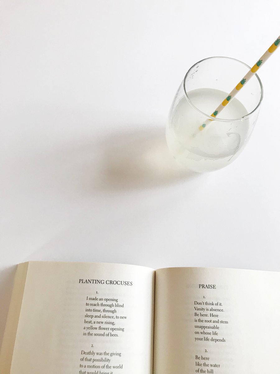 ElizabethEv's tweet photo. Low key Sunday vibes: Reading #WendellBerry + sipping on @Oxylent Multivitamin Supplement Drink (because it's STILL cold season + I'll take all the help I can get... thank you, @DiscoverLMS + #Oxylent).  How's your Sunday looking? #drinkoxylentbreathelife #discoverLMS #ad https://t.co/GpuSGIgI4N