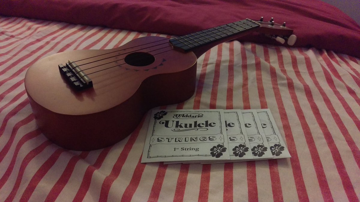 dalina15's tweet image. Hora de cambiar las cuerdas

#UkeLife #UkeGirl #TimeToDoSomething #SundayNight