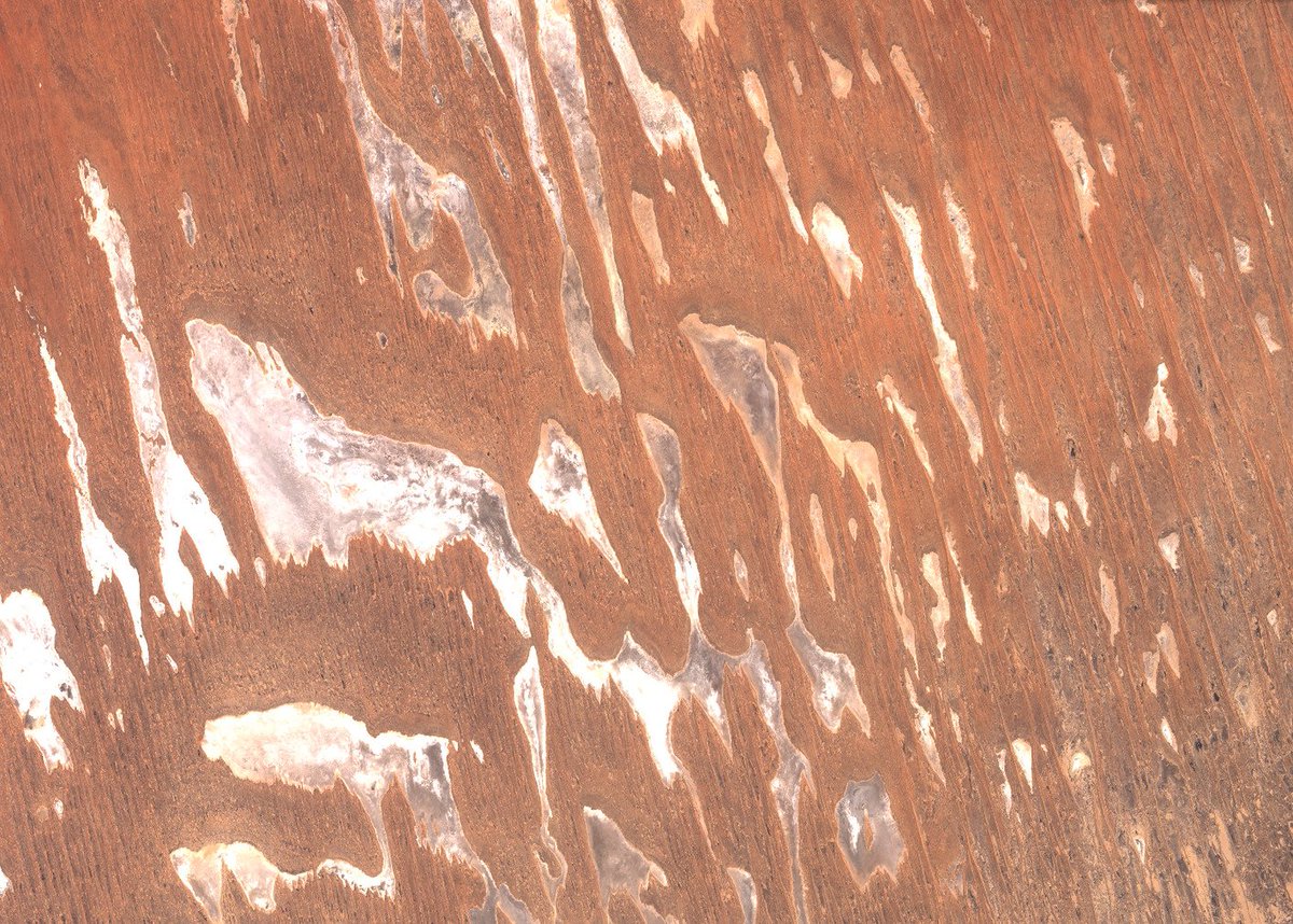 paul_haesler's tweet image. Slat flats in the Simpson Desert, 4th September 2017.

Landsat-8, USGS Level 1 data.

#landsat #satellite #cloudfree