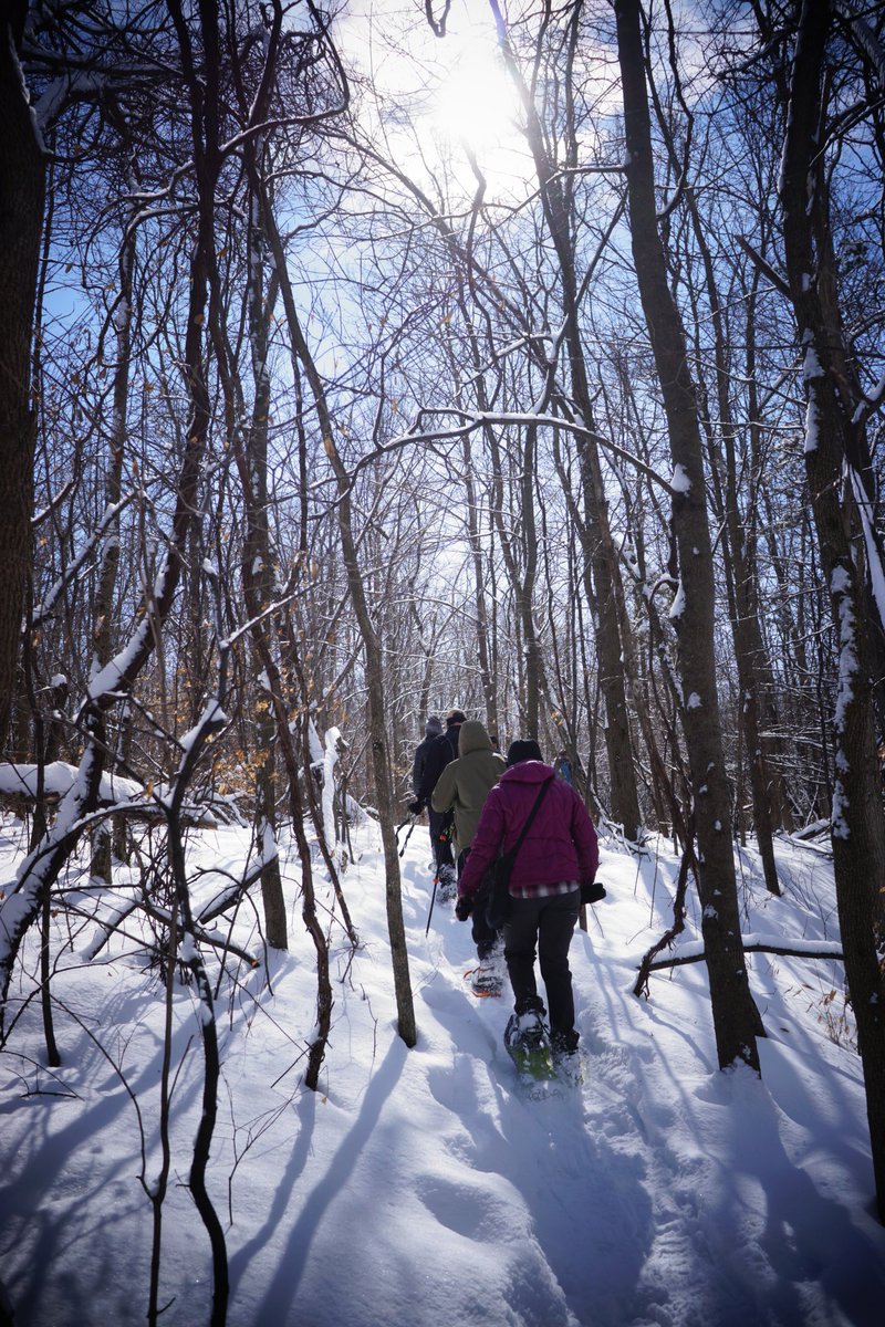 The stomp train was out this morning! Warm day time temps this week means riding should be done at night! Keep the trails in prime condition for a little longer!