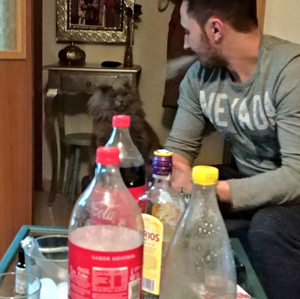 miaudestroyer's tweet photo. arreglando el mundo https://t.co/wyPE5wy1bU