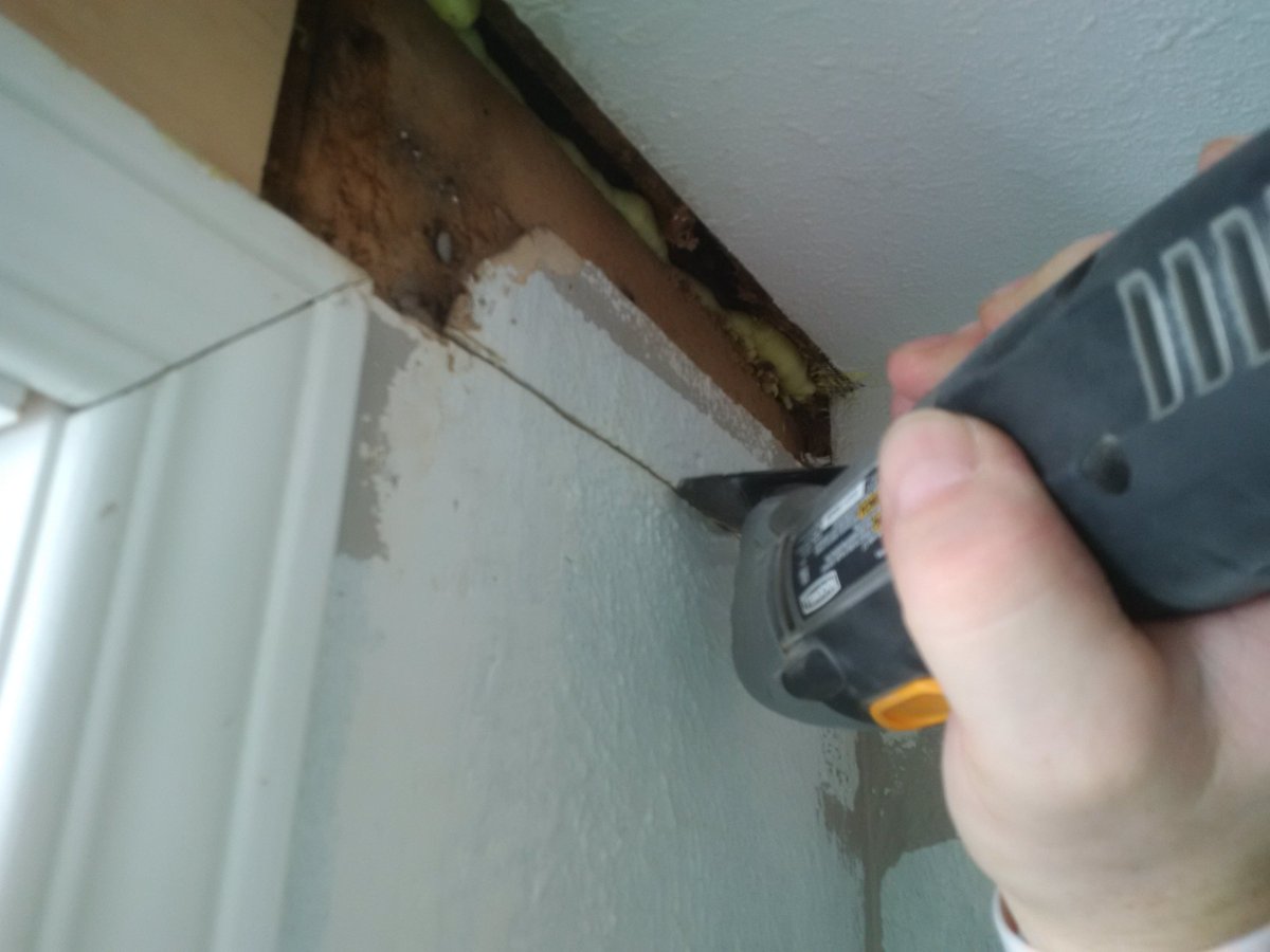 Oxigence's tweet image. Woohoo! Another Fuck Me! weekend fixing my pad cause not living in a  rotten moldy place. #notpaidforthis JFCI!!!