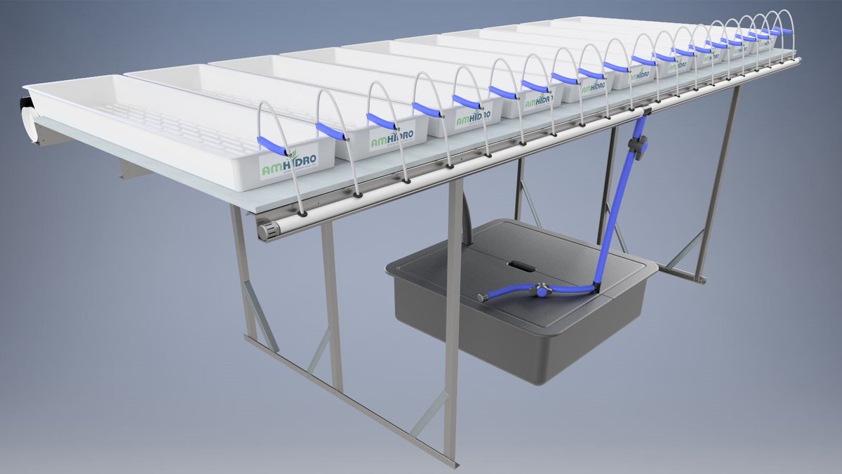 Proper seedling production is SO important!!  Focus on RESULTS.  <a href="/AmHydro/">American Hydroponics</a> propagation systems will provide the benefits that you need.  Amhydro.com