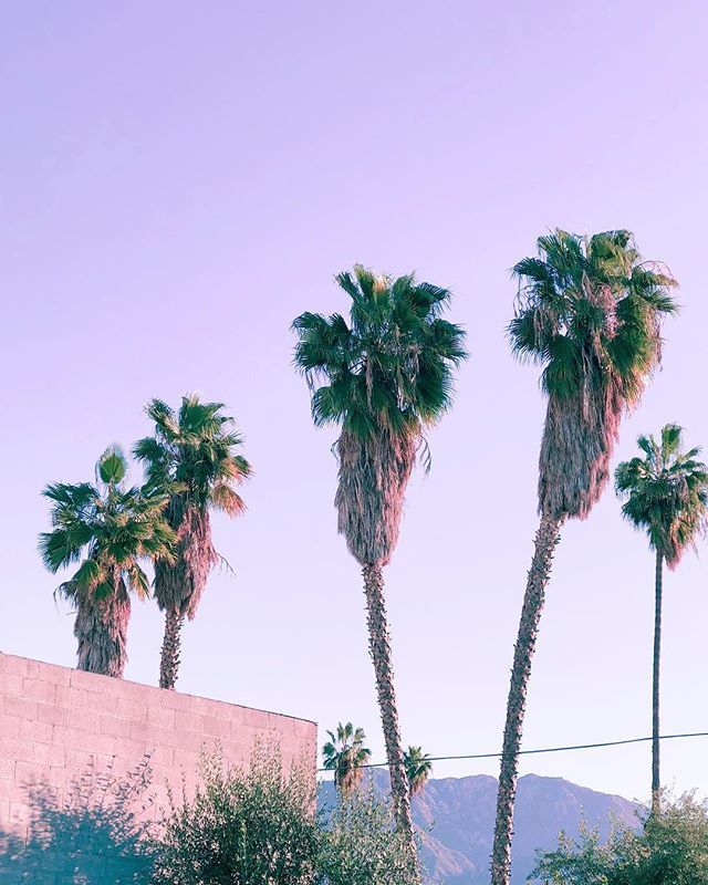 traceofneon's tweet photo. Headed somewhere very cold tomorrow, but I’ll be in good company once I get there. 🧤🧦🧣
#agencylife #californiadreams #palmtreelover #worktrip #needtostartpacking .
.
.
.
.
.
#myunicornlife #thatsdarling #creativehappylife #colorgram #weekending #funf… https://t.co/xqt3orK1uz https://t.co/36fVNpNbbs